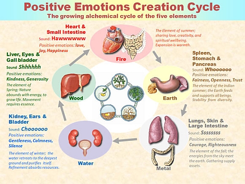 Nurturing Cycle of Emotions